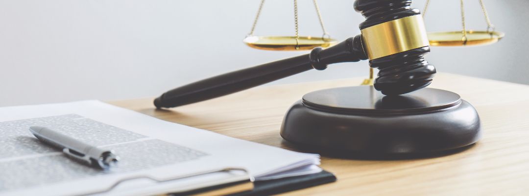 Understanding the Law Understanding the Law