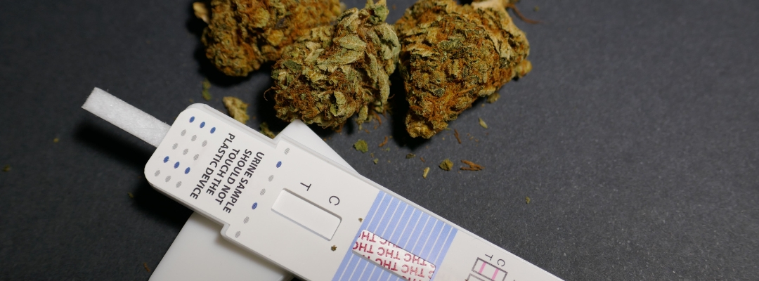 Legal Marijuana and Federal Jobs